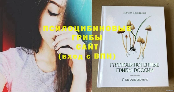 соль ск Лиски
