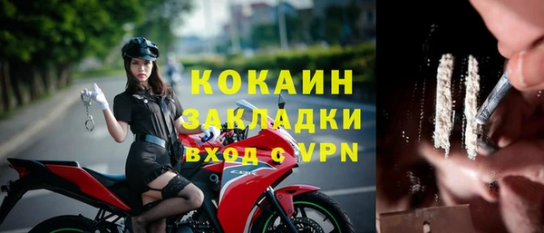 соль ск Лиски