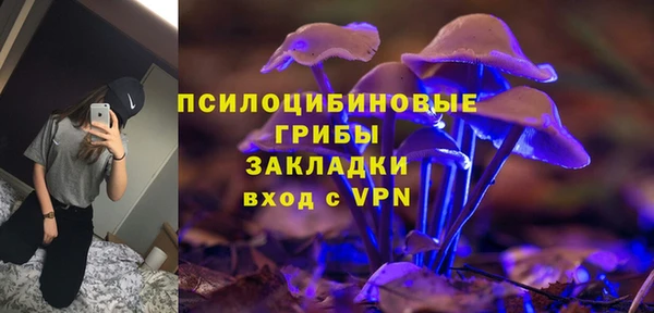 соль ск Лиски